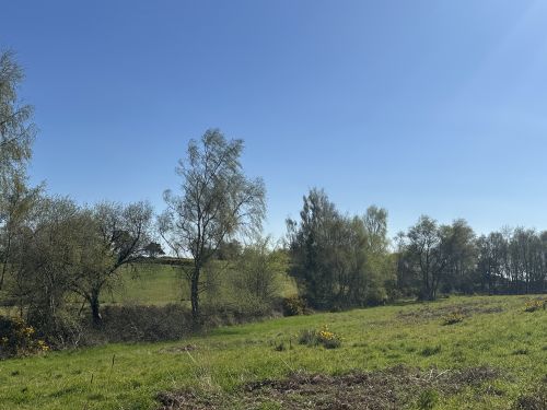 New Ground 5