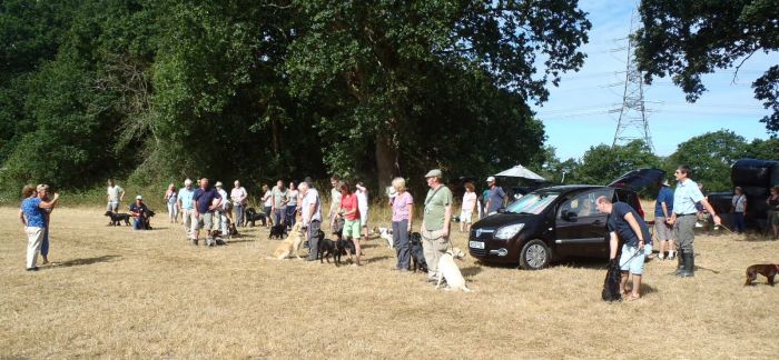 Members on a sunny Sunday in July